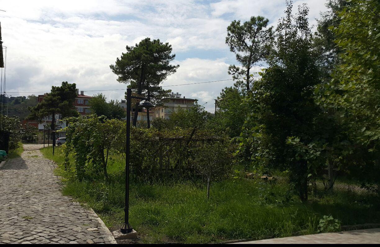 Sebile Hanim Sahil Hotel Unye Exterior photo